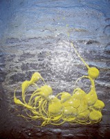 /album/radiocioci/img-0014-jpg/