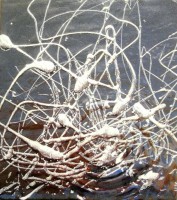 /album/radiocioci/img-0032-jpg/